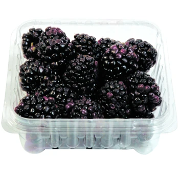 Blackberry Frozen IQF Fruits Mixed Berries Blueberry Blackberry Strawberry Raspberry For Sale
