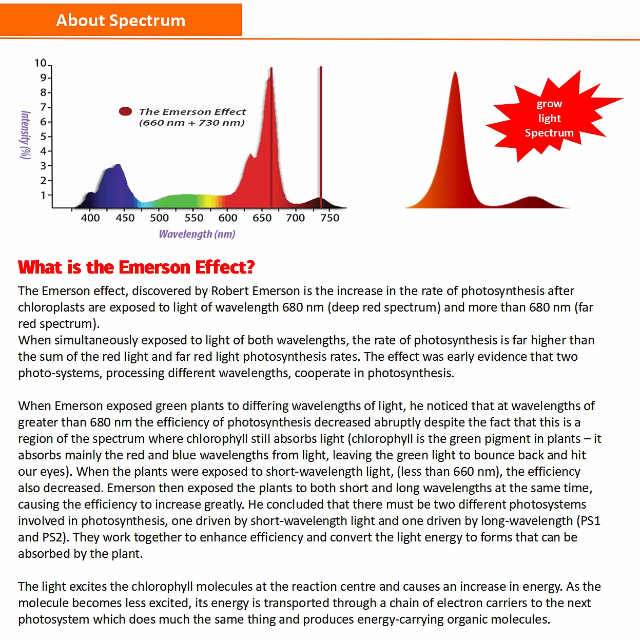 7Magic Best Flicker Free 100-265VAC Emerson Effect Grow Lights Led Grow Light UV IR Bar Strip For Lettuce