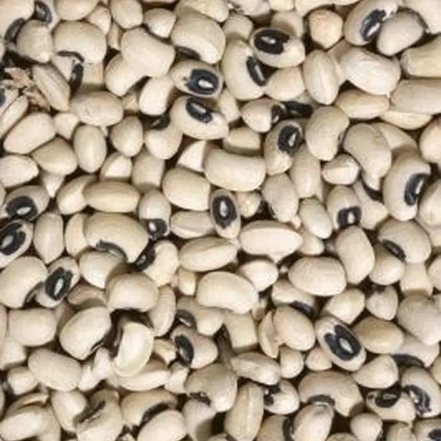 
Cowpea Cow peas machine cleaned polished red White Seeds Black Eye/wholesale Quality White Eyed Pea Organic High Grade Brand 