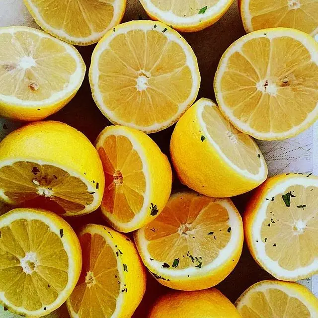 South Africa Wholesale Price High Quality Fresh Lemon