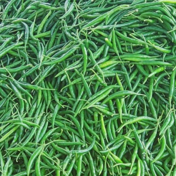 Best Quality Indian G4 Green Chili
