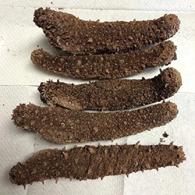 Dried Sea Cucumber For Sale