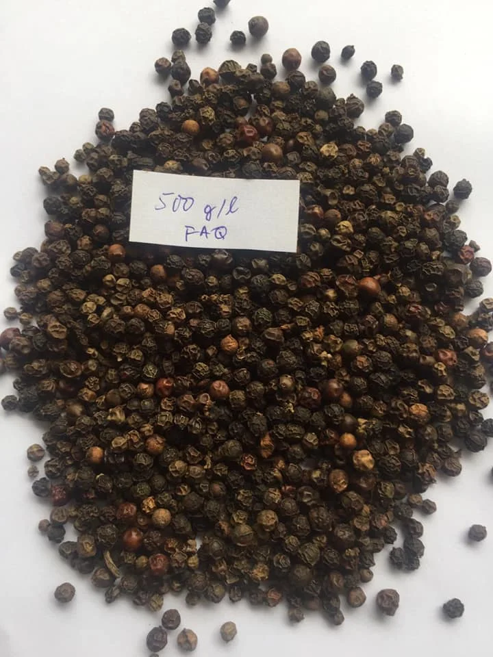 WHOLESALE PEPPER FACTORY SPICES AND NUTS FROM KING PEPPER VIETNAM