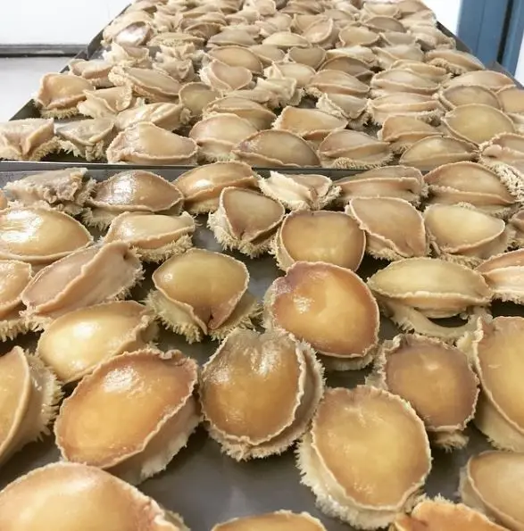 Frozen And Dried Abalone Offered