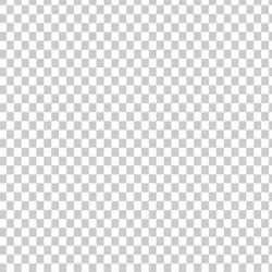 Biodegradable Food disposable Paper Packaging Box