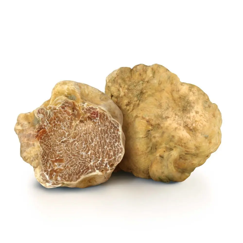 
Fresh Wild Black Italian Truffles 