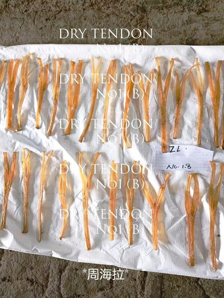 High Nutrition High Protein Dried  Tendon