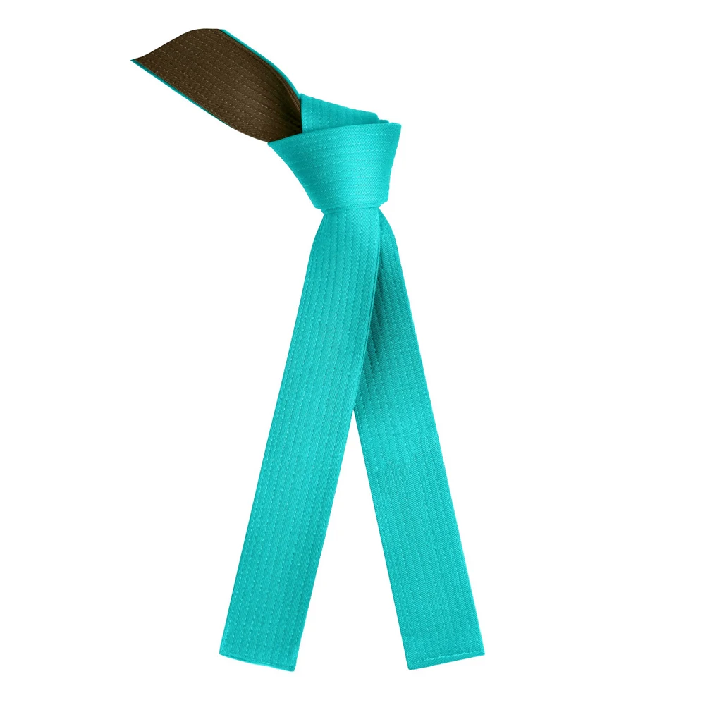 Wholesale new product training equipment taekwondo master belt / Cheap Price Comfortable master belts for sale