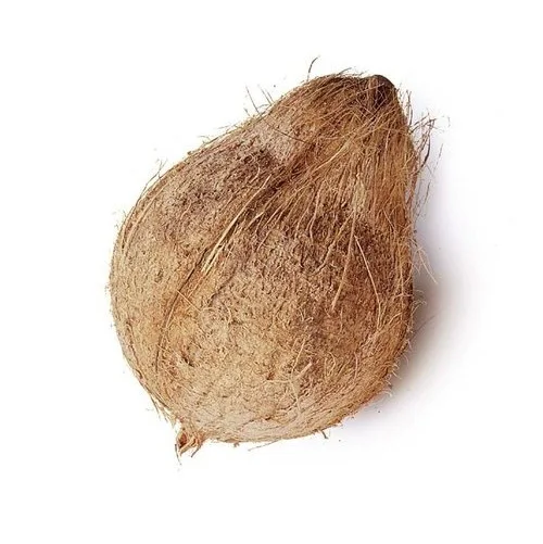 Оптовый Поставщик полуочищенного кокоса по низкой цене