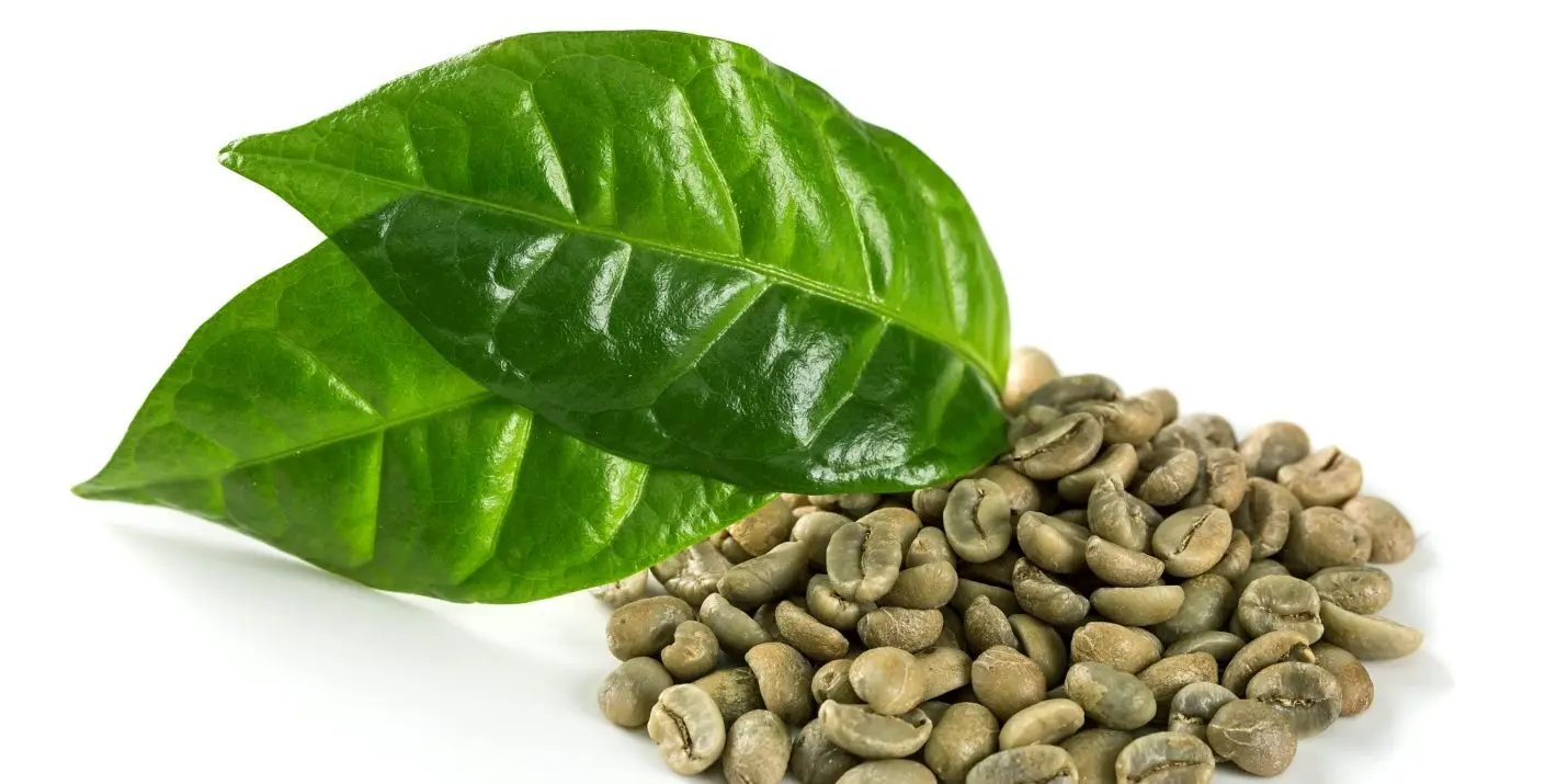Vietnam green coffee bean | The best product for heath, beauty and energy with 100% natural