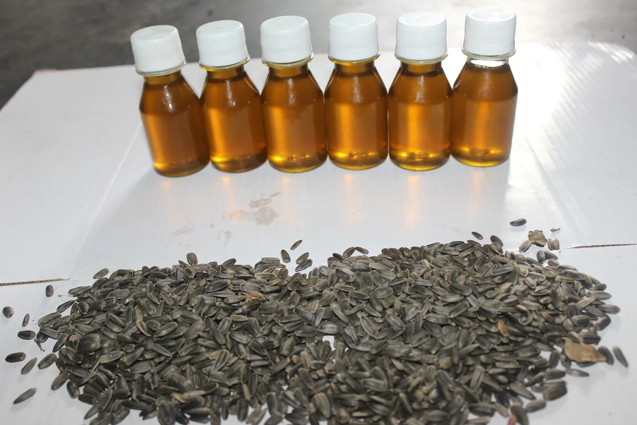 SUNFLOWER SEED BANGLADESH