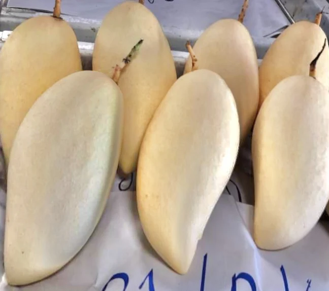 
Wholesale EWC Brand Thailand Fresh Gold Honey Namdokmai Mango GMG006 For Sale 