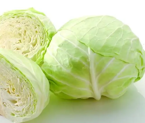 Fresh Cabbage Wholesale Price / Quality Cabbage / Fresh Cabbage