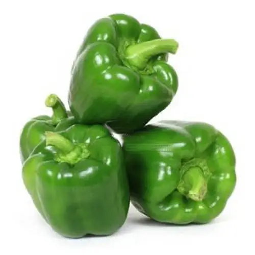 Wholesale Capsicum / Fresh Capsicum Vegetable ,Capsicum Yellow