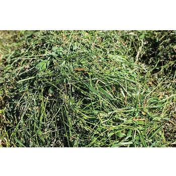 Гранулы Alfalfa дегидрация трава alfalfa сено корм для