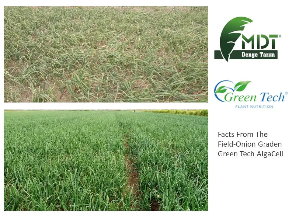 Green Tech Green Cap - Organic Nematicide -Plant Protection Producr - Organic Fertilizer