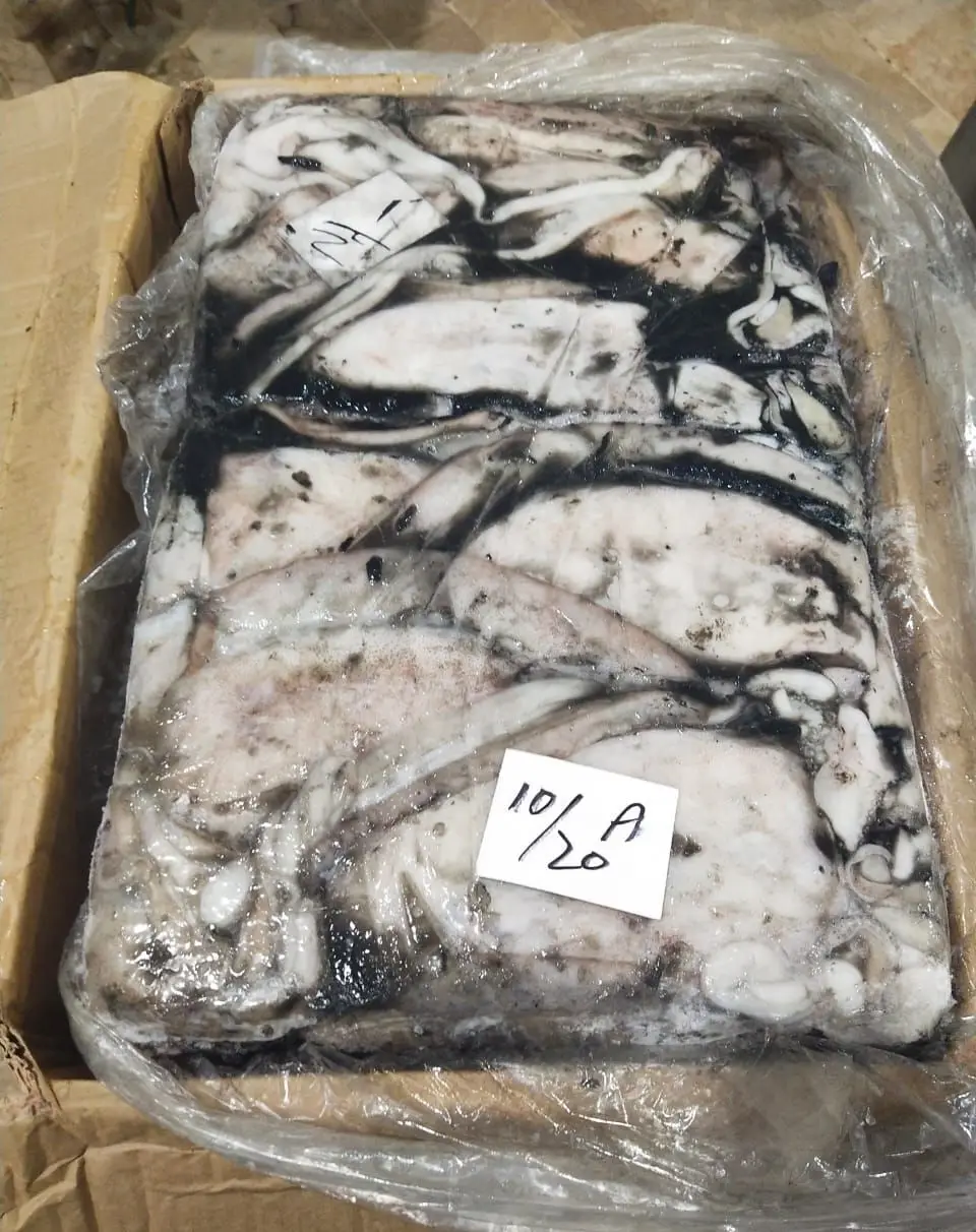 CuttleFish / Frozen Fresh Cuttlefish