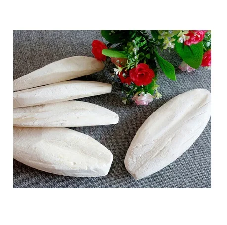 High Quality Cuttlefish Bone/Cuttlefish Bone for Birds and Reptiles (WS: 0084987731263)