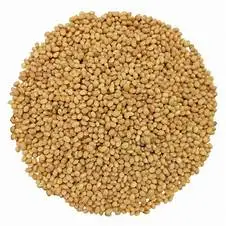 sorghum flour for sale red sorghum white sorghum kernel flour for sale