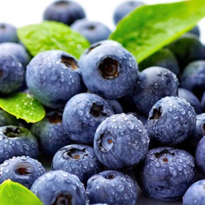 Свежие ягоды черника