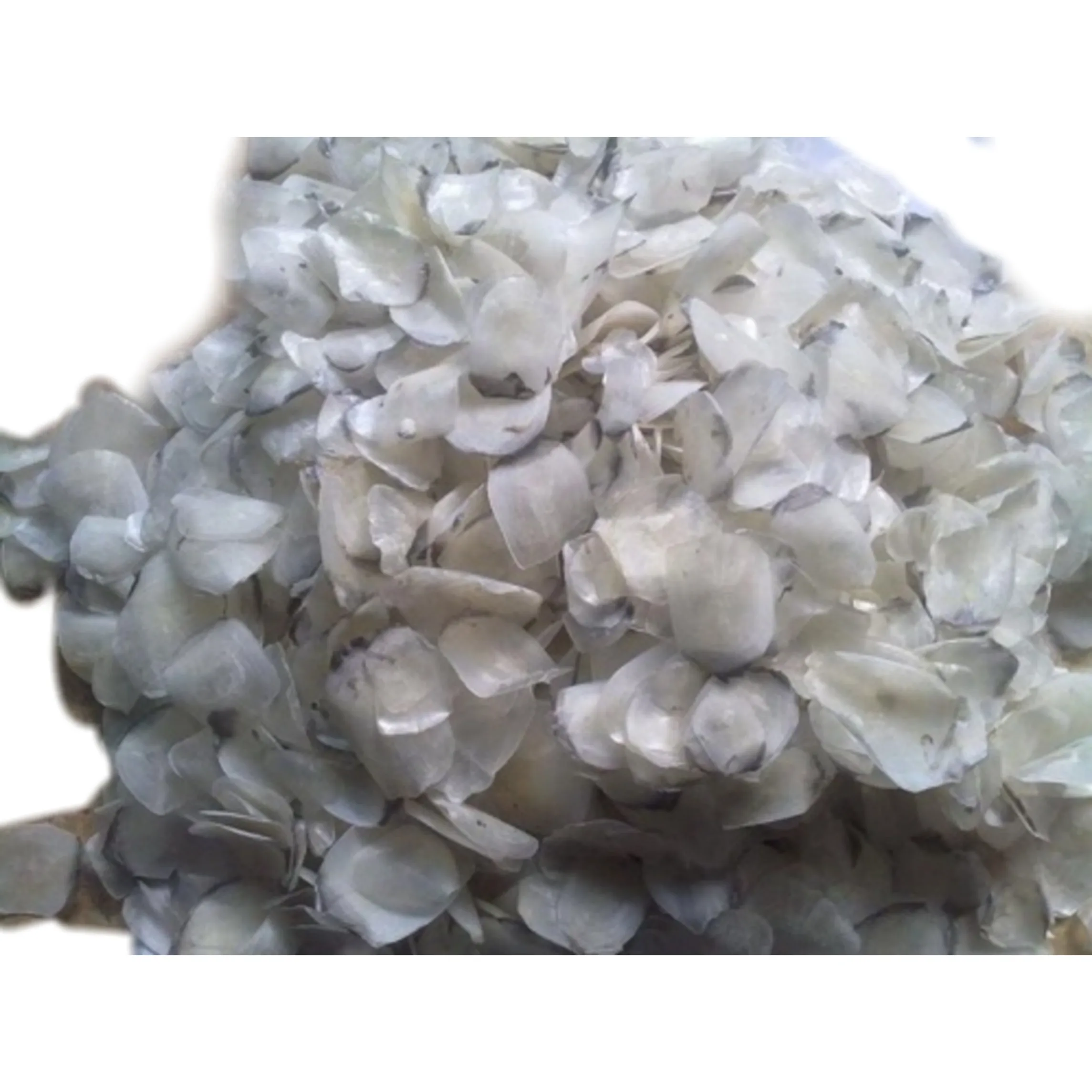 Best Seller Dried Fish Scales for Gelatin Production in KOREAN/Japan Fish Collagen /Louis +84 943481858