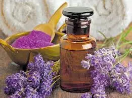 Skin Nourishing Private Label Flower Oil Fragrance Oils of Lavender Manufacturer for Lavender Organic Essential Oil