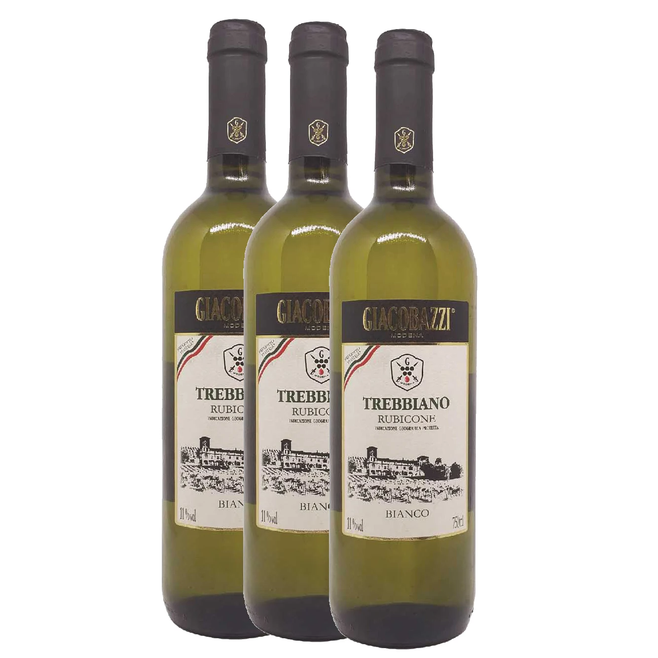 Elegant white wine Trebbiano Rubicone Made in Italy Medium Dry White Wine 75 cl to export