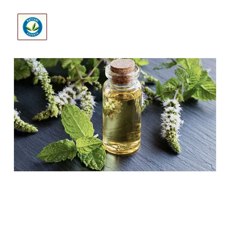Cold Pressed Oil Bulk Best High Quality Peppermint Essential Oil - Wholesale Manufacturer Exporter Organic Oil Top Grade Oil