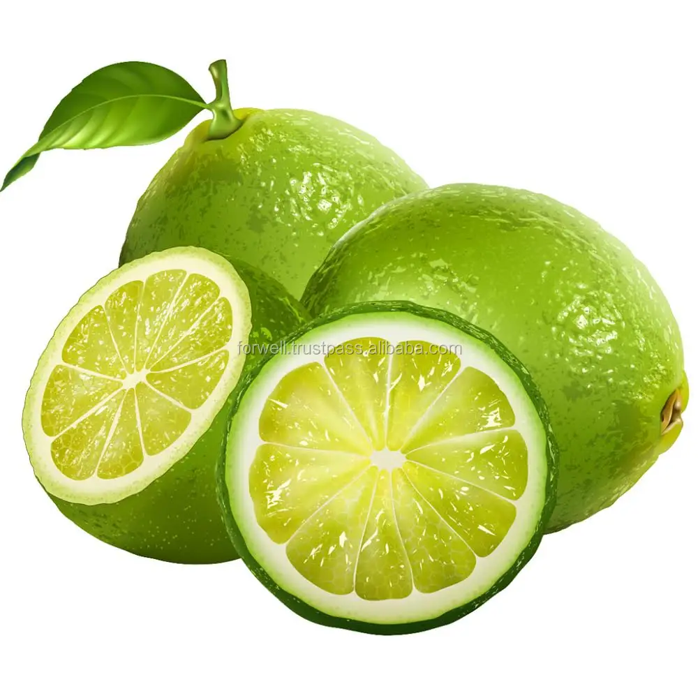 COMMON EGYPTIAN LEMONS  ( Adalia - Verna - green lime ) BIG SIZE LEMONS IN EGYPT