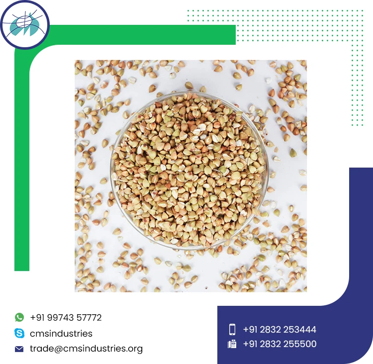 Индийские низкие цены, Семена Гречихи