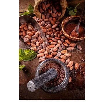 
Best quality Selling Roasted Cocoa Beans in Thailand, Available in bags and drums 