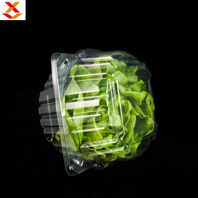 
Transparent RPET or PET clamshell blister container for 1 pound salad herb lettuce packaging box 