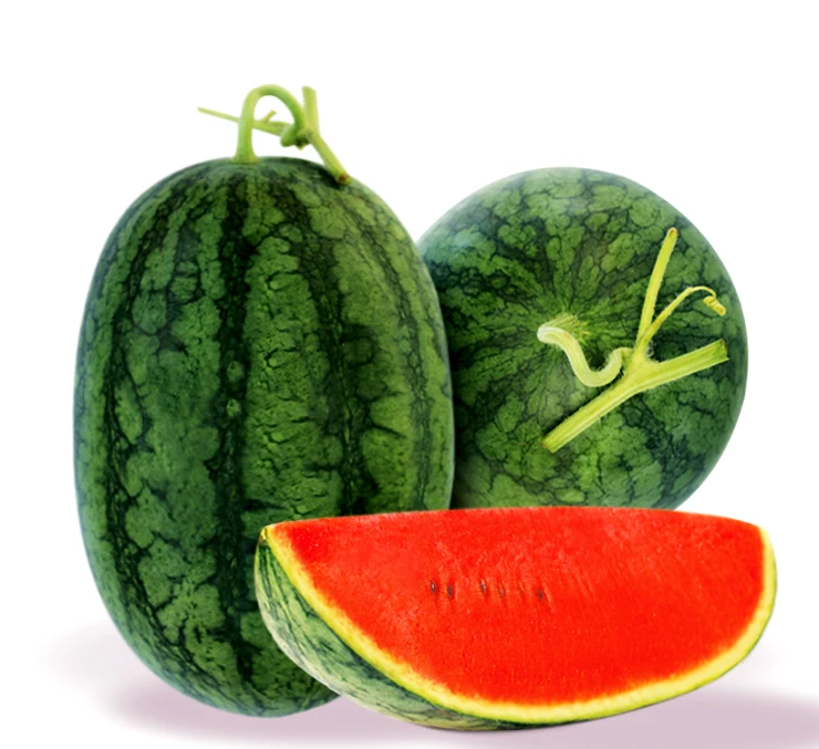 fresh fruit watermelon new crop high quality