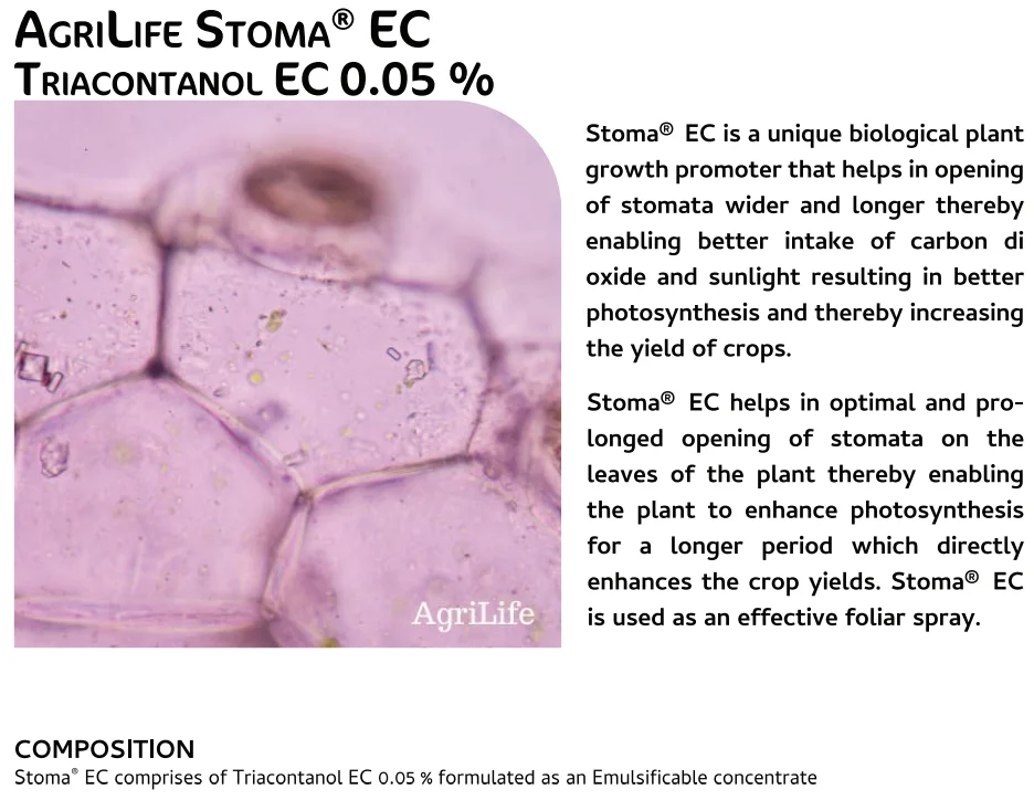 Screenshot (1006).png