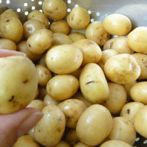  Irish white potato in bulk at good prices from Austria