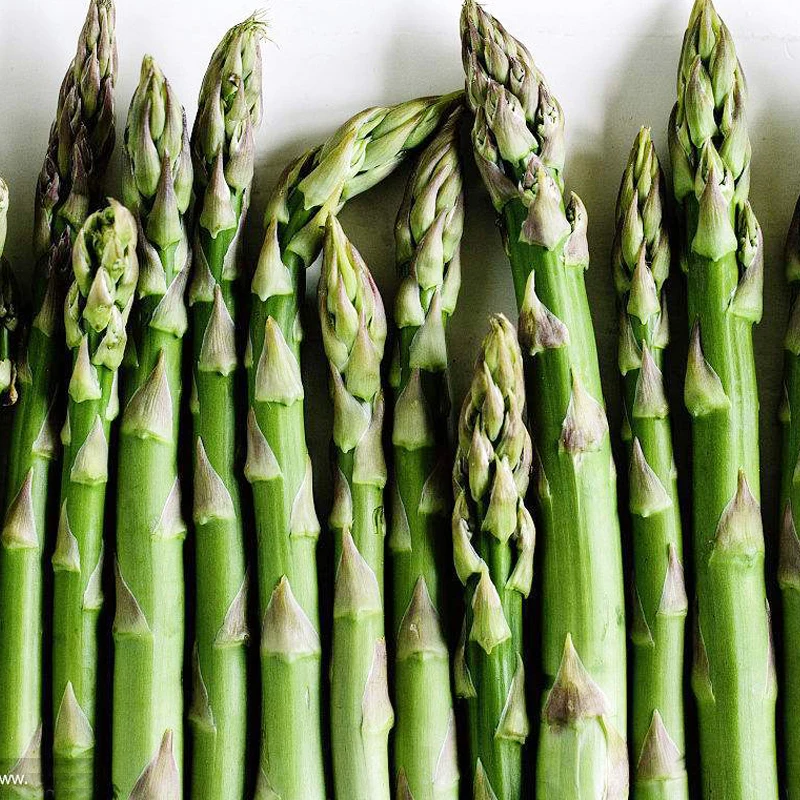 FRESH ASPARAGUS VIETNAM ORIGIN WITH CHEAP PRICE - MS. ELAINE +84 375 431 541