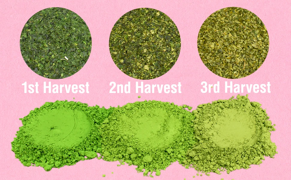 2 Harvest.jpg