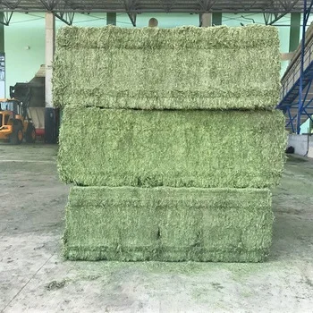 Alfalfa Hay / Timothy Alfafa Hay / Rhode Hay