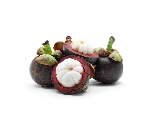 Tropical Fruits Very Sweet and Fresh Taste Mangosteen With Dark Purple or Red Color skin Organic Cultivation