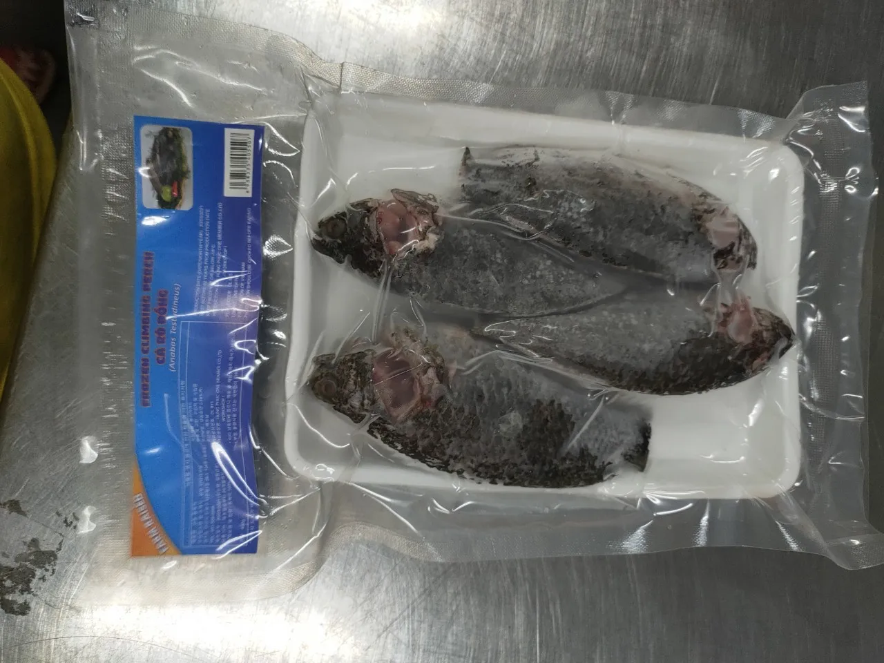 High Quality Frozen Tilapia WR Size 200/300 300/500g Best Fresh Whole Round Frozen Black Tilapia Fish
