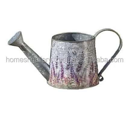 Wholesale Galvanized Home garden metal watering cans at low price