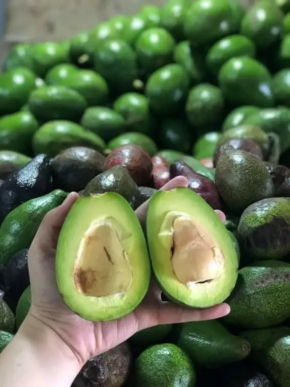 2021 г. Премиум замороженный свежий авокадо/Высококачественный ломтик авокадо/MS KATHY + 84 896650714