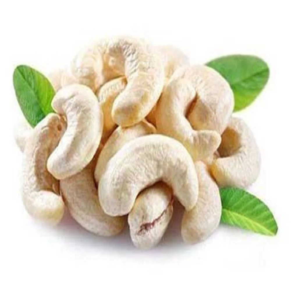 Salted Cashew Nut Best Price