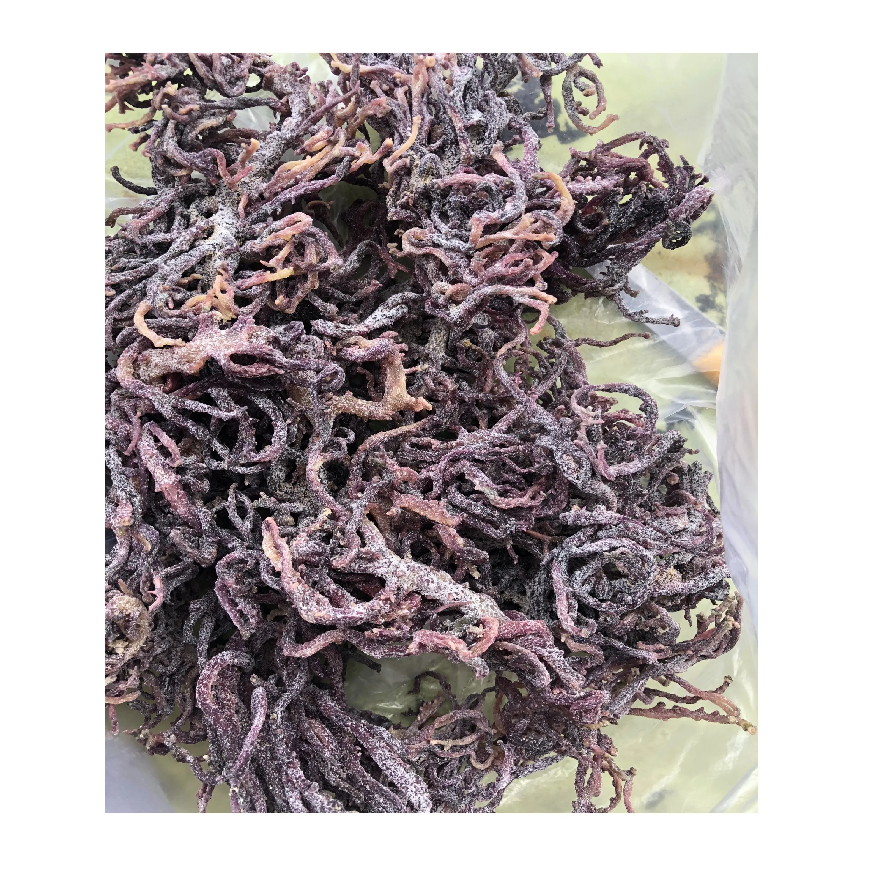 Полезная морская смесь/Eucheuma Cottonii для изготовления геля и десерта из