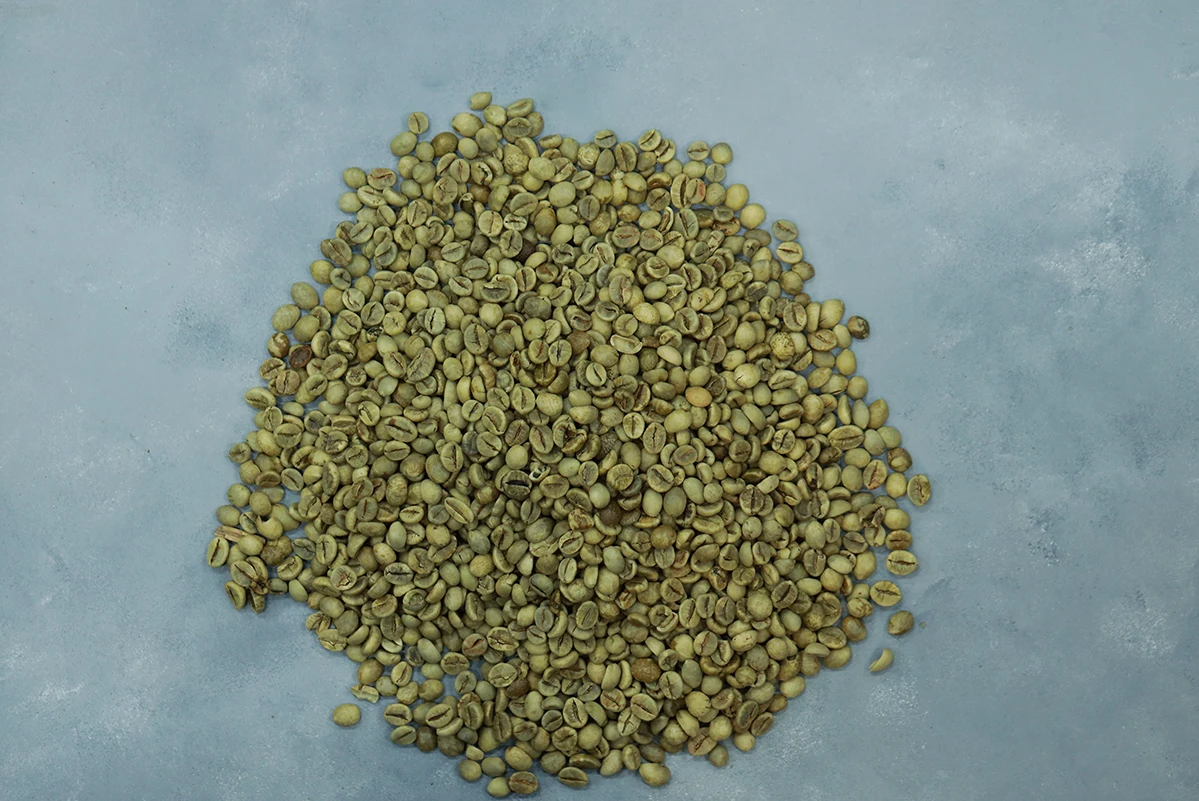 Best Choice Wet Washed Wet-polished (A18CBU-B) Arabica Green Coffee Beans From Vietnam