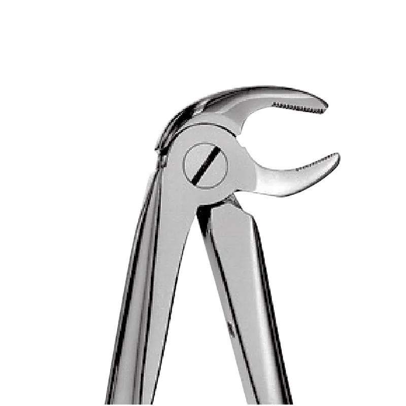 Lower Premolars Forceps English pattern extracting forceps for Lower Premolars  Dental, English Pattern Forceps, Extra
