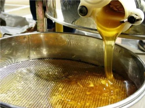 Honeysuckle Honey 100% Made in Italy Top Quality  Fattoria Italiana Martelli