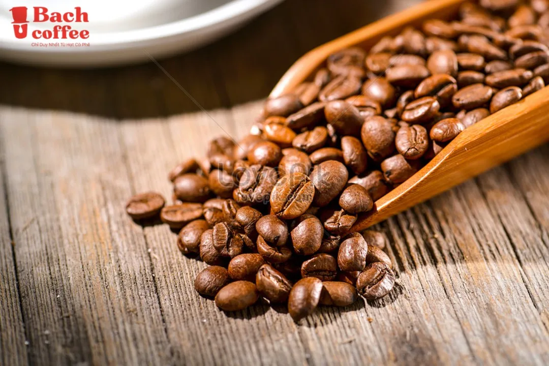  Органические легкие жареные зерна кофе лучшая эспрессо из Вьетнама супер здоровая Арабика для максимальной производительности