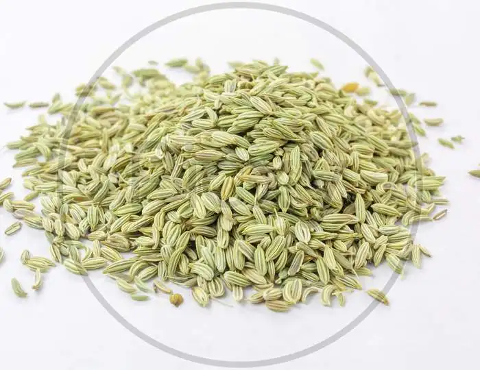 Wholesale best quality fennel seed from India