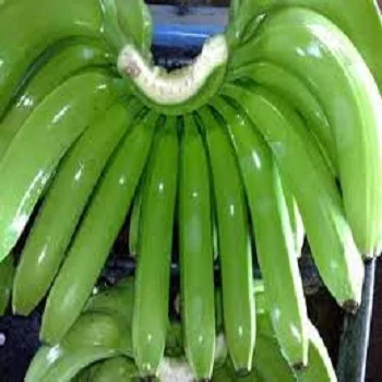 Wholesale Fresh Bananas / Cavendish Bananas / Green Bananas